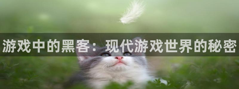 蓝冠娱乐主管：游戏中的黑客：现代游戏世界的秘密