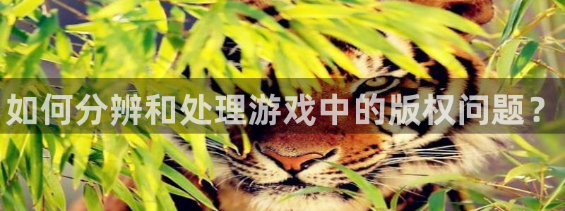 蓝冠娱乐网页版地址：如何分辨和处理游戏中的版权问题？