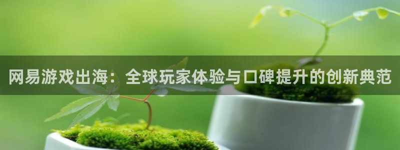 蓝冠娱乐2首页登录：网易游戏出海：全球玩家体验与口碑提升的创