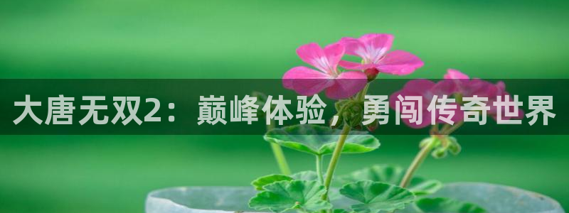 蓝冠娱乐咨询：大唐无双2：巅峰体验，勇闯传奇世界