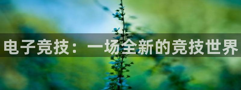 手机版蓝冠娱乐客户端下载：电子竞技：一场全新的竞技世界