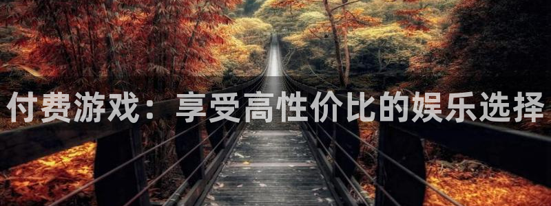 蓝冠娱乐注册开户：付费游戏：享受高性价比的娱乐选择