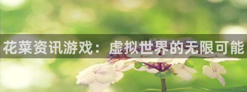 蓝冠娱乐开户测速：花菜资讯游戏：虚拟世界的无限可能