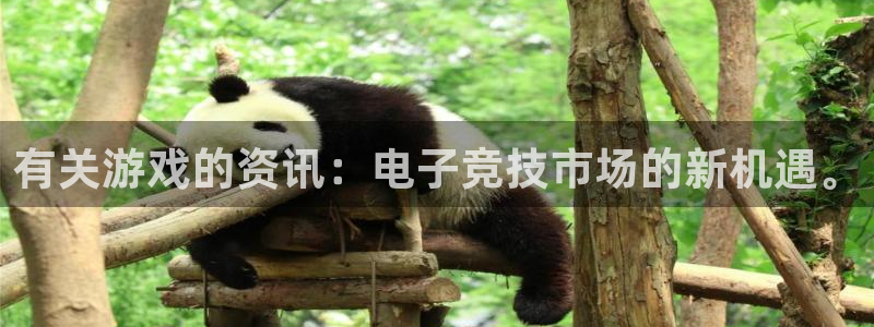 蓝冠娱乐注册官方登录app：有关游戏的资讯：电子竞技市场的新