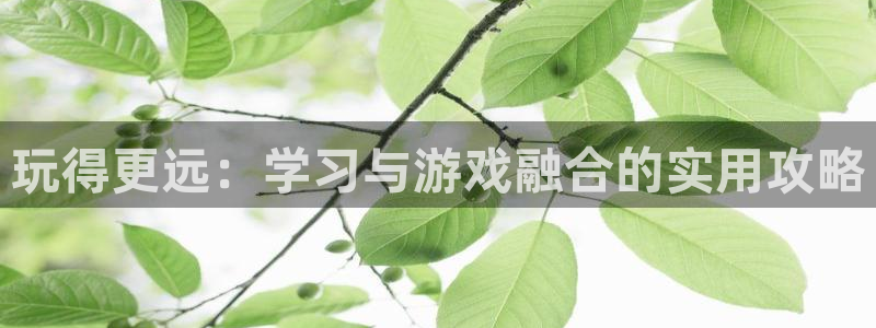 蓝冠娱乐2登录：玩得更远：学习与游戏融合的实用攻略