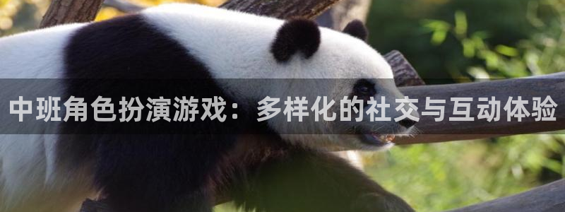 蓝冠娱乐网页登录入口：中班角色扮演游戏：多样化的社交与互动体