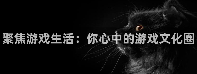 蓝冠娱乐网页登录入口官网：聚焦游戏生活：你心中的游戏文化圈